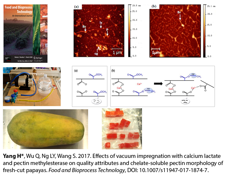 scope of food science and technology in australia